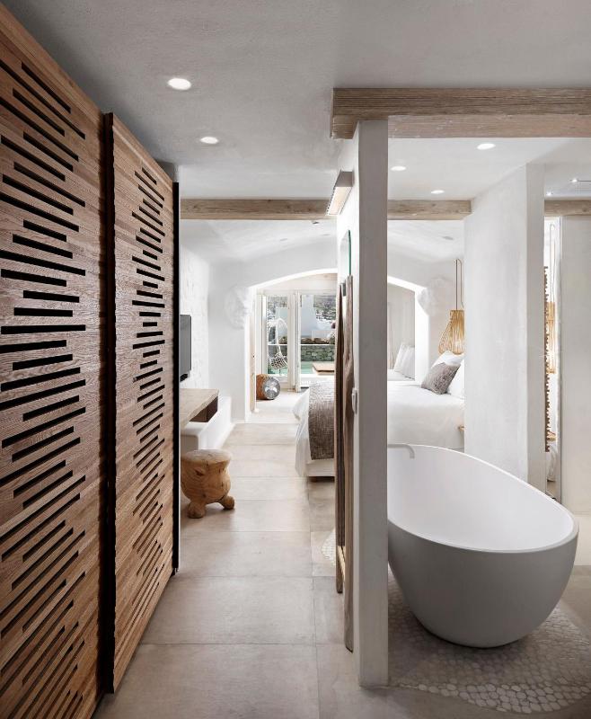 Vip Junior Suite with Private Pool image 4