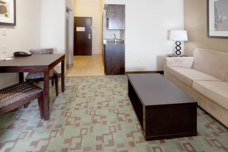 Holiday Inn Express Hotel & Suites Houston NW Beltway 8-West Road By IHG - image 18
