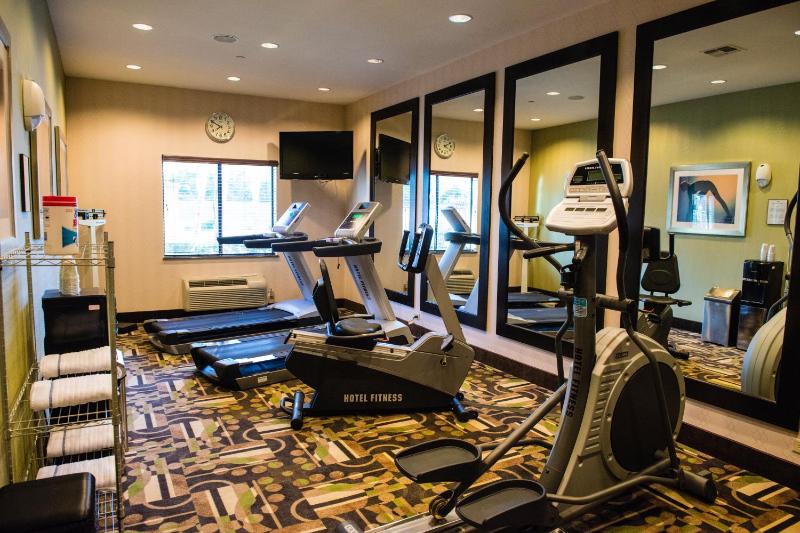 Holiday Inn Express Hotel & Suites Houston NW Beltway 8-West Road By IHG - image 49