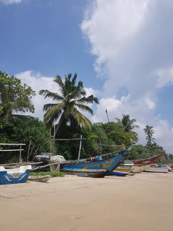 Family Home - image 25