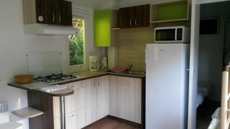 Two-Bedroom Mobile Home image 2