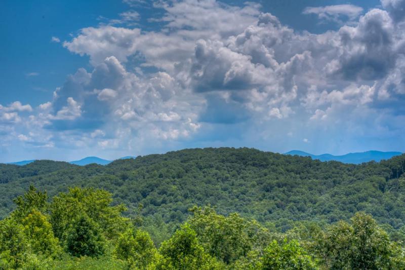 TreeTops- Pet Friendly | Master on Main | 5 minutes from Downtown Blue Ridge - image 17