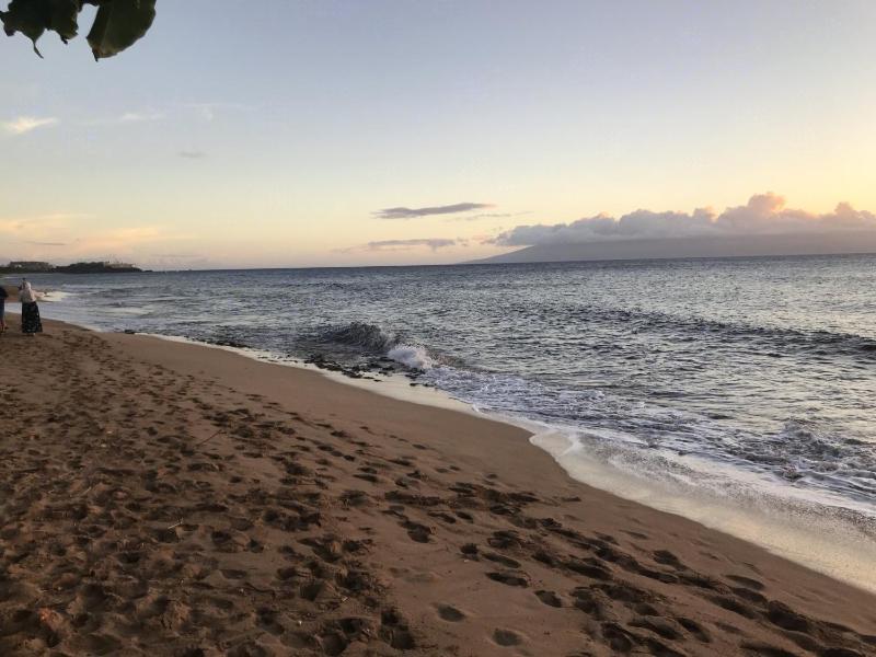 Honua Kai - Hokulani 836 - image 28
