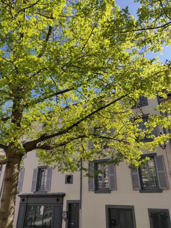 5 Chambres en Ville - image 20