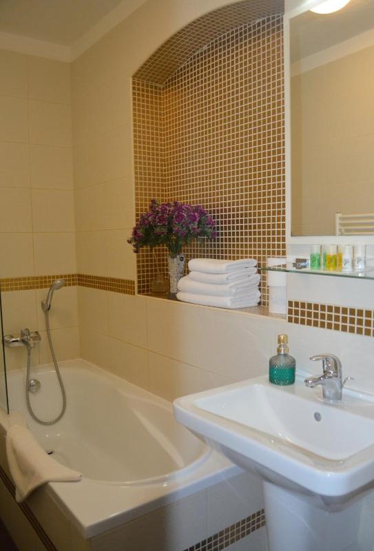 Deluxe Double Room image 3