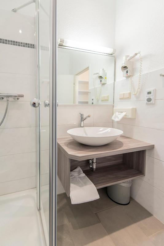 Double or Twin Room image 4