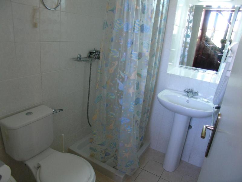 One-Bedroom Apartment image 2