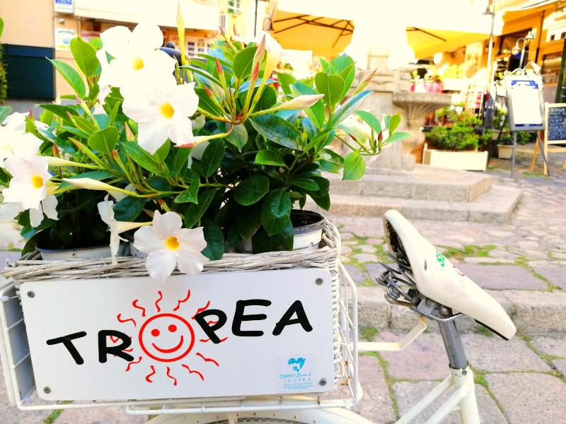 Tropea Travel's House - image 23