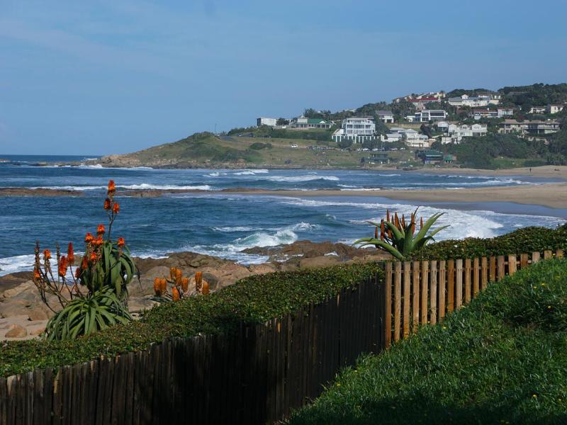 Southern Comfort - Periwinkle - image 10