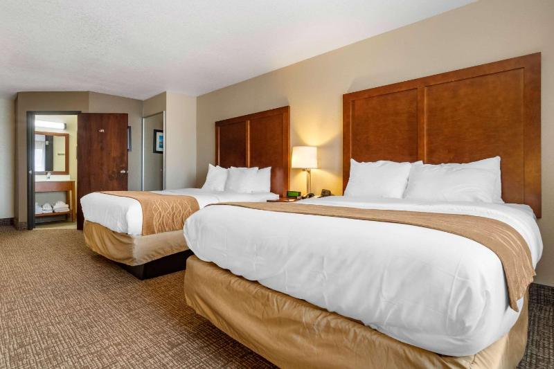 Queen Room with Two Queen Beds - Non-Smoking image 4