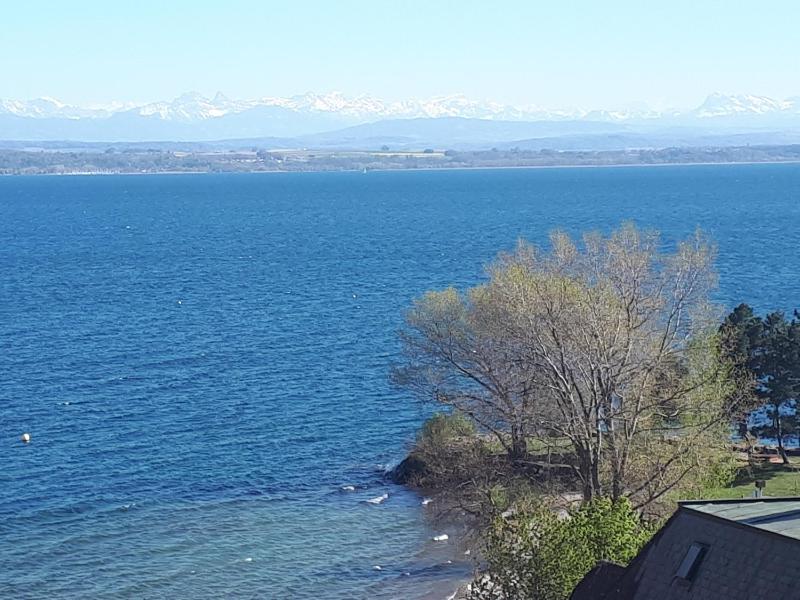 Studio Apartment with Terrace and Lake View image 1
