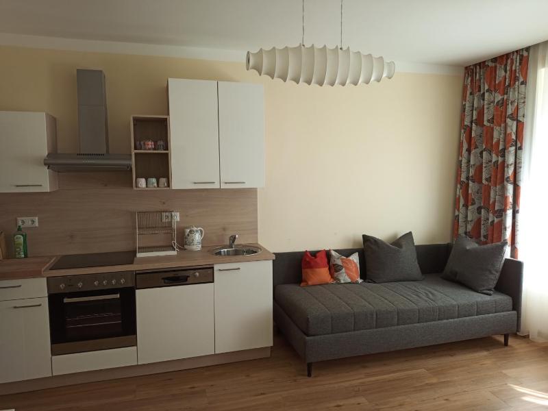 Large Apartment image 1