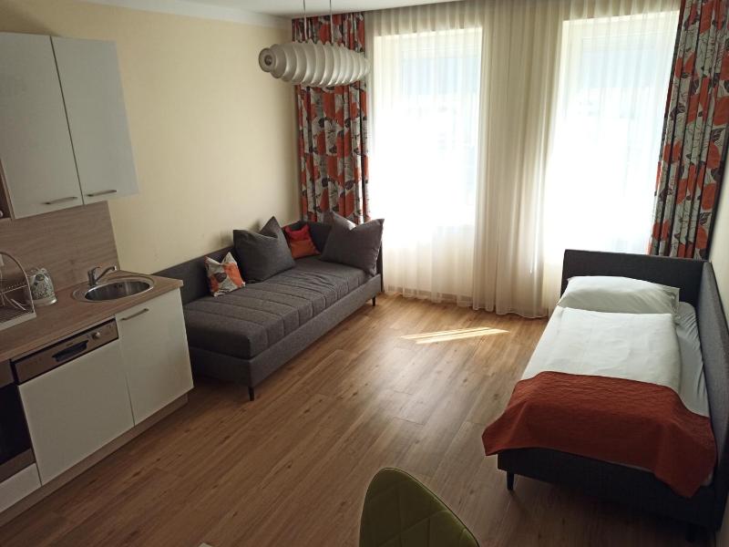 Large Apartment image 4