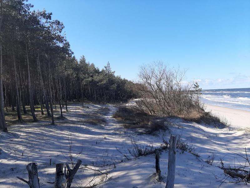 Chłopy Beach Resort - domki letniskowe i apartamenty - image 11