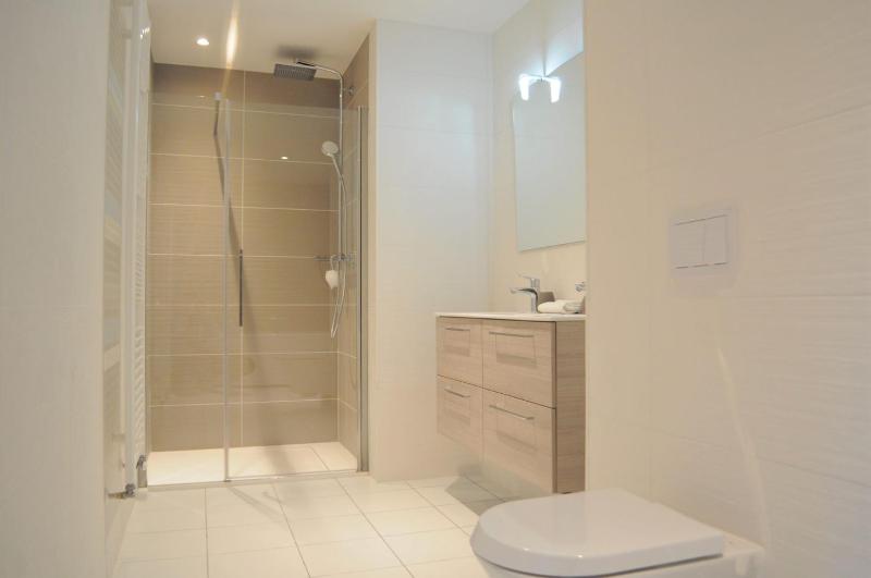 The View - Apt 03 - BO Immobilier - Châtel Multipass été 2026 en option au tarif de 4euros par jour et par personne - image 17