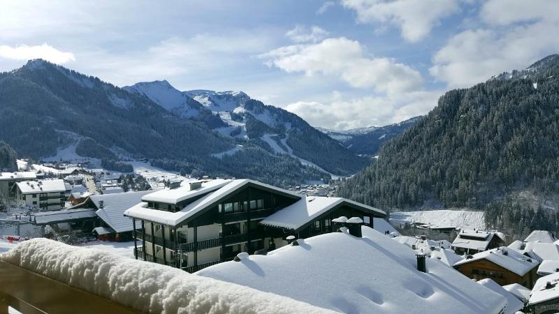 The View - Apt 03 - BO Immobilier - Châtel Multipass été 2026 en option au tarif de 4euros par jour et par personne - image 7