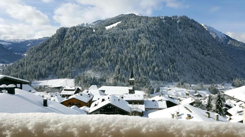 The View - Apt 03 - BO Immobilier - Châtel Multipass été 2026 en option au tarif de 4euros par jour et par personne - image 3