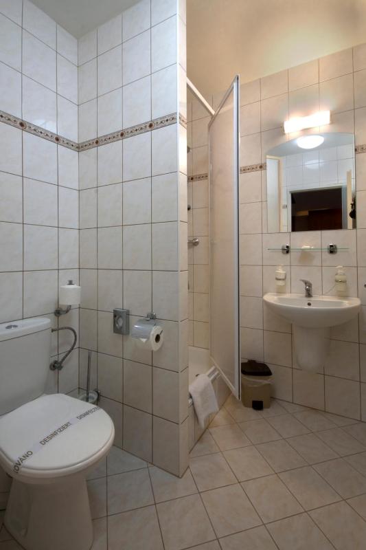 Comfort Single Room image 2