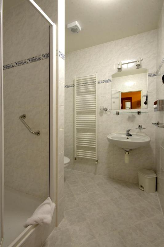 Standard Single Room image 2