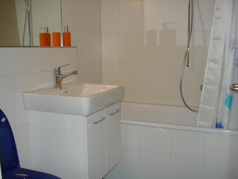 One-Bedroom Apartment image 2
