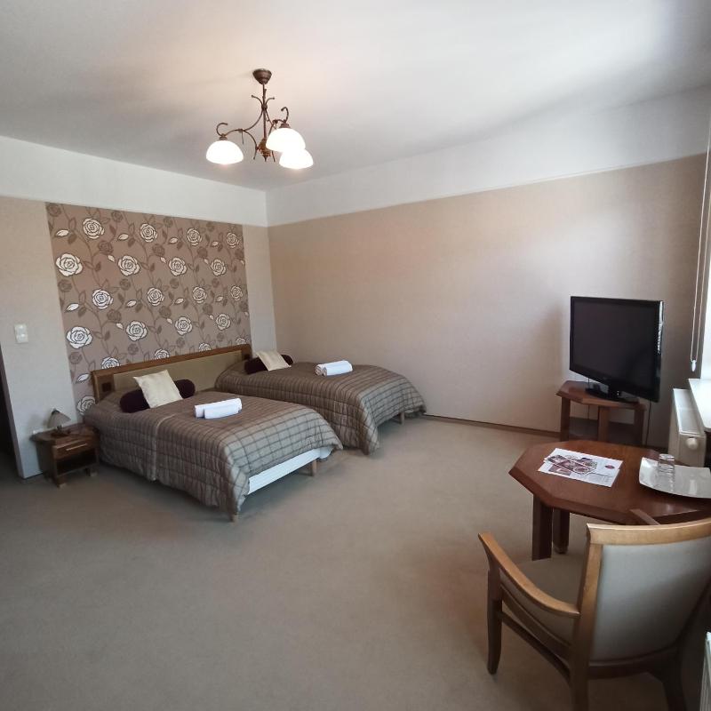 Large Twin Room image 3