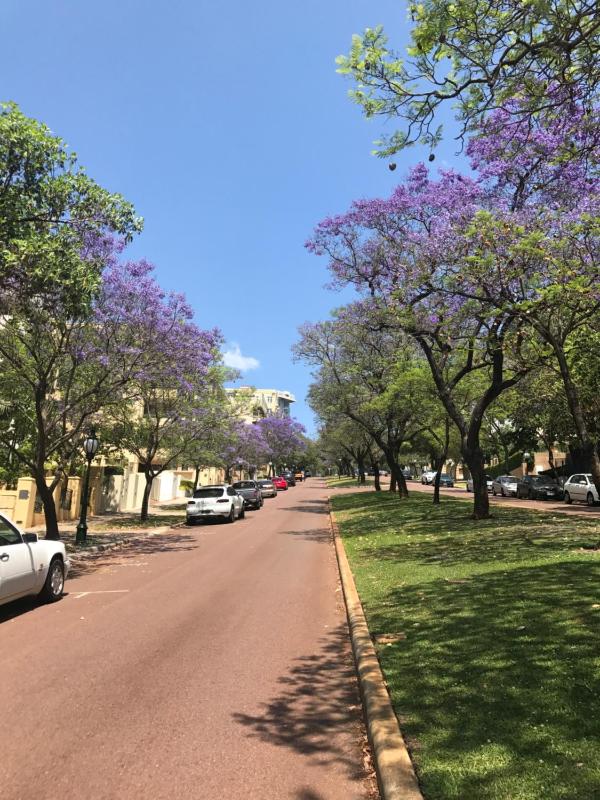 Riverview on Mount Street - image 16