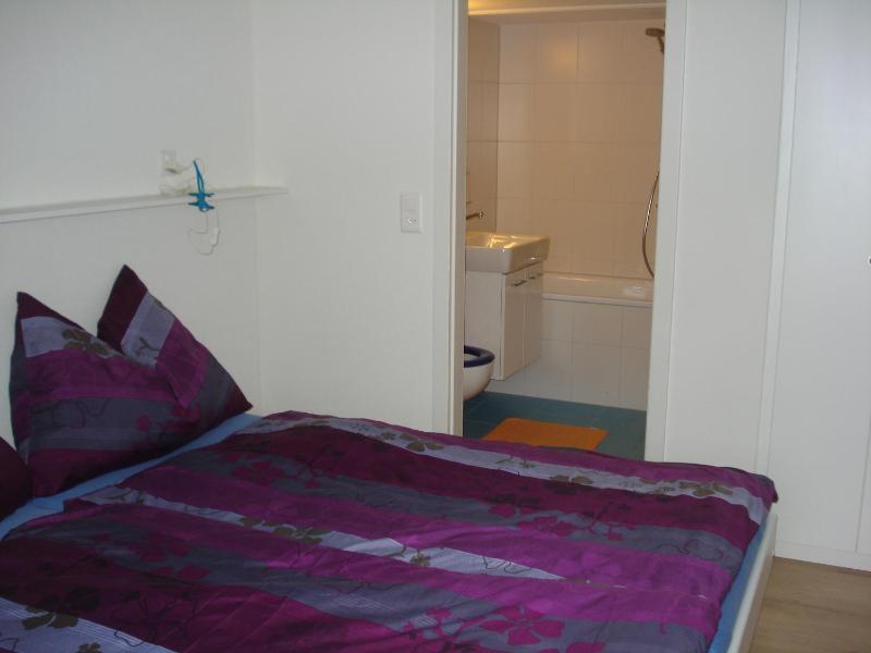 One-Bedroom Apartment image 4