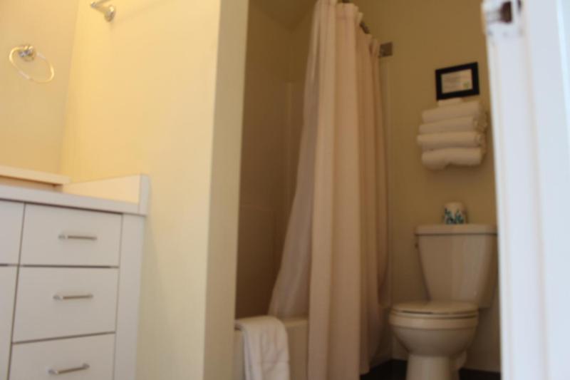 Three-Bedroom Apartment image 3