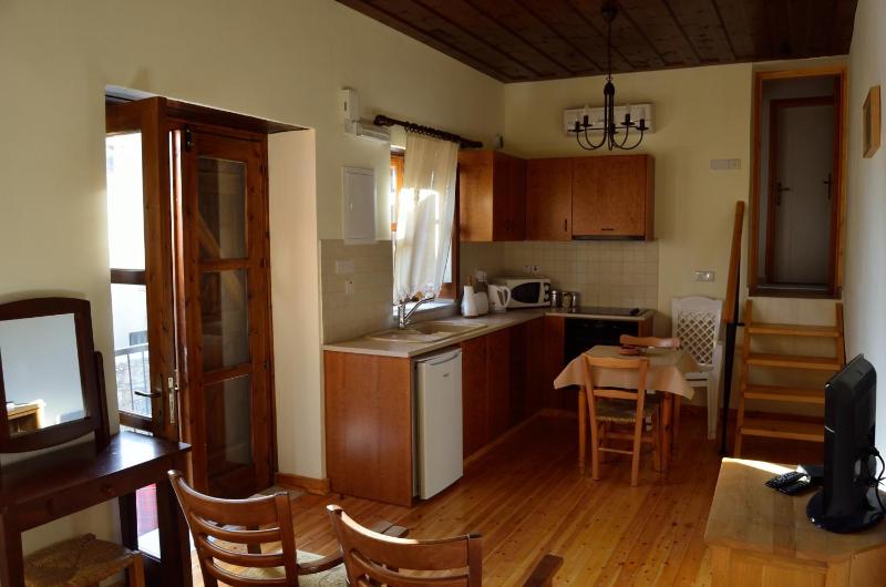 Studio with Terrace image 2