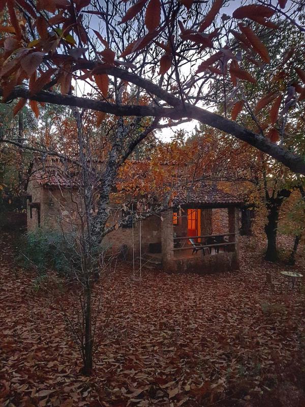 Holiday Home image 3