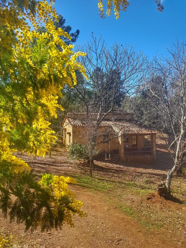 Holiday Home image 2