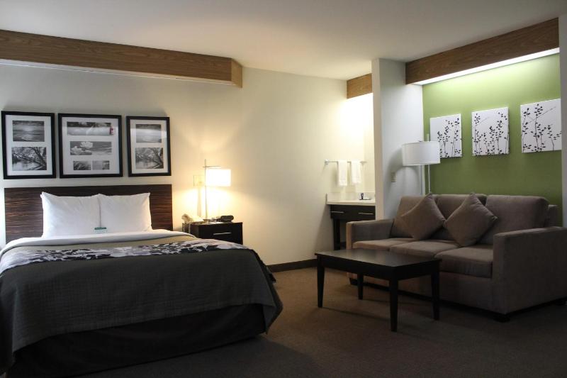 King Suite - Non-Smoking image 3