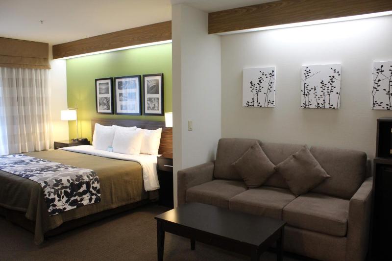King Suite - Non-Smoking image 4