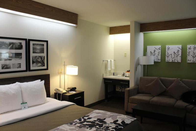 King Suite - Non-Smoking image 2