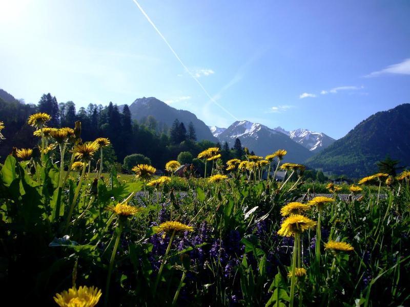 Oberstdorfer Bergwelt 218 - image 5