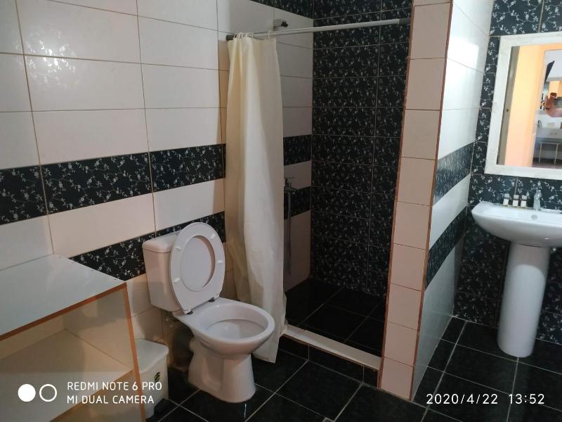 Central Hotel - image 11