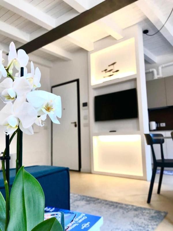 One-Bedroom Apartment image 2