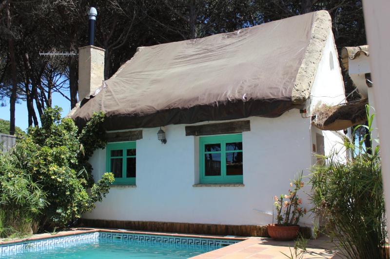 Villa (4 Adults) image 1