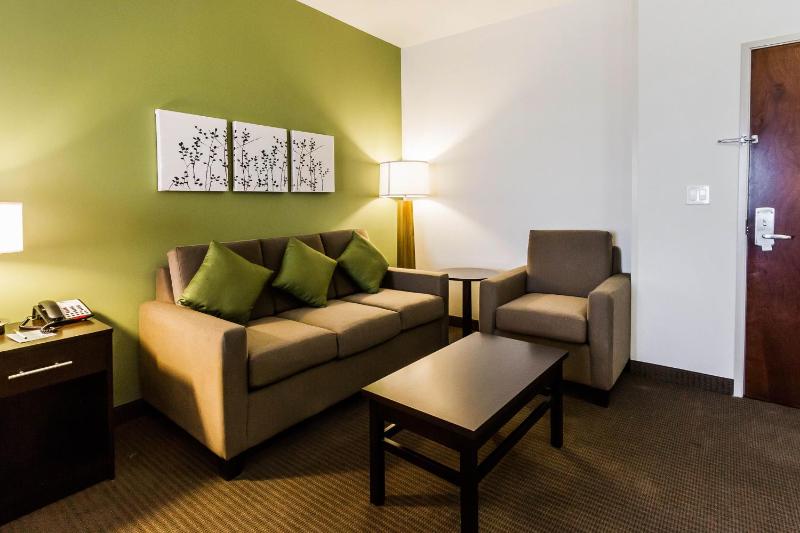 King Suite with Sofa Bed - Non-Smoking image 4