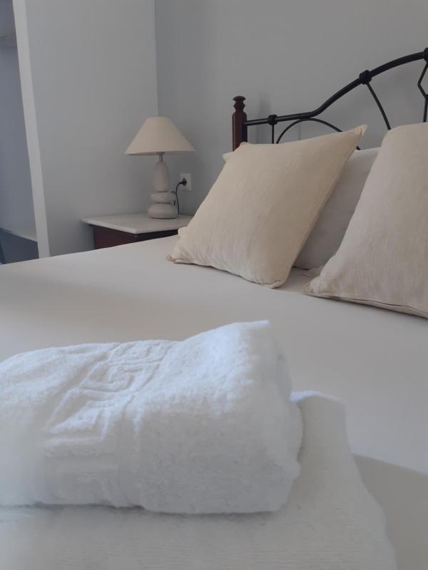 Double or Twin Room image 3