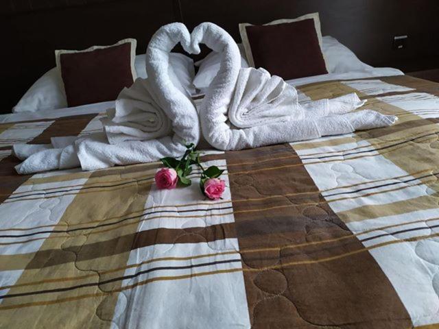 Hotel David with Free Parking - image 2