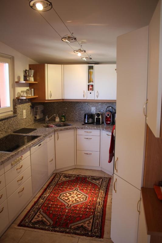 Deluxe Apartment with Lake View image 3