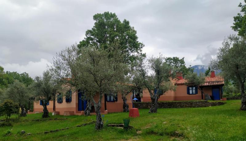 One-Bedroom Apartment image 3