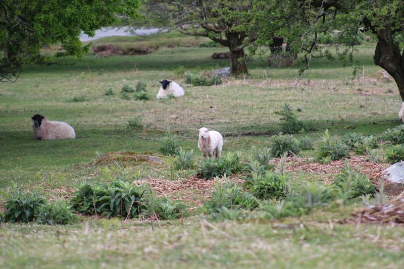 The Moorland Hotel - image 28