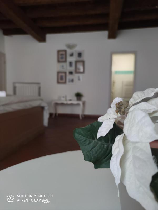 Deluxe Queen Room image 2