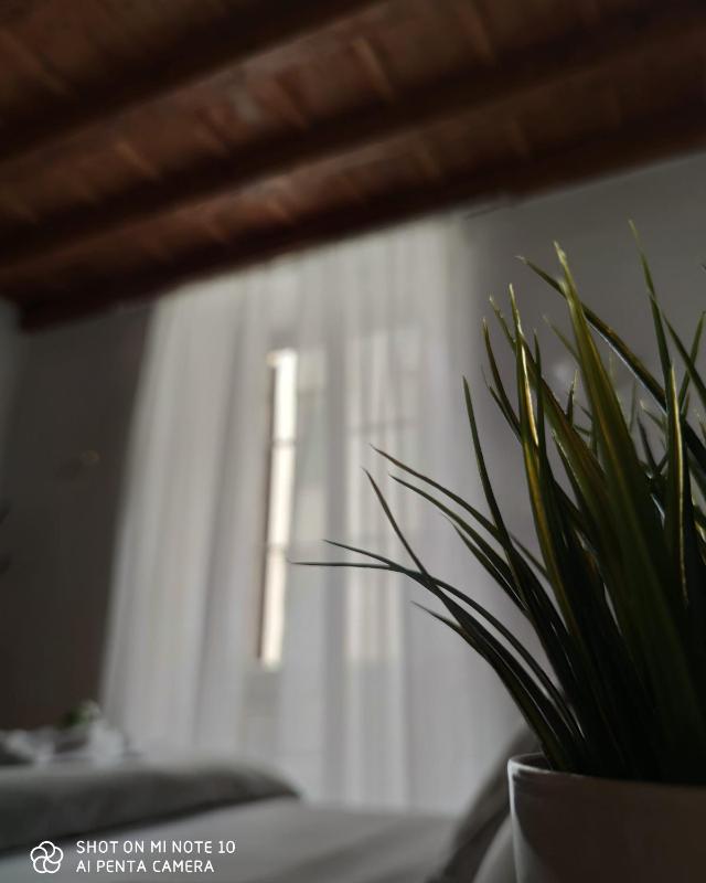 Deluxe Double Room image 3