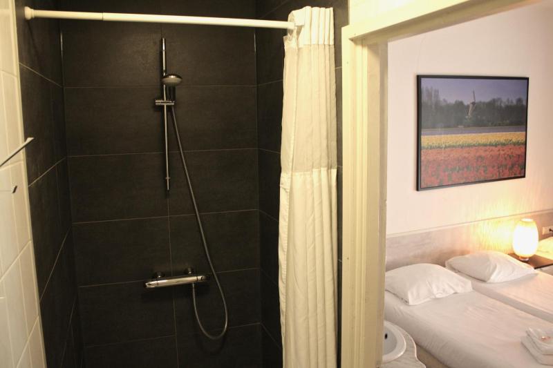 Standard Double or Twin Room image 1