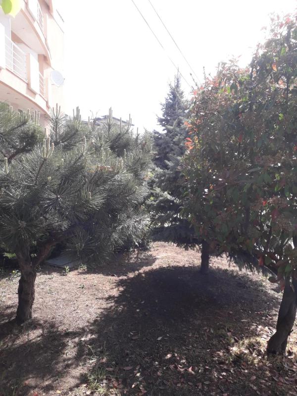 Two-Bedroom Suite image 2