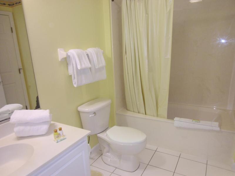 One Bedroom Standard Condo image 4