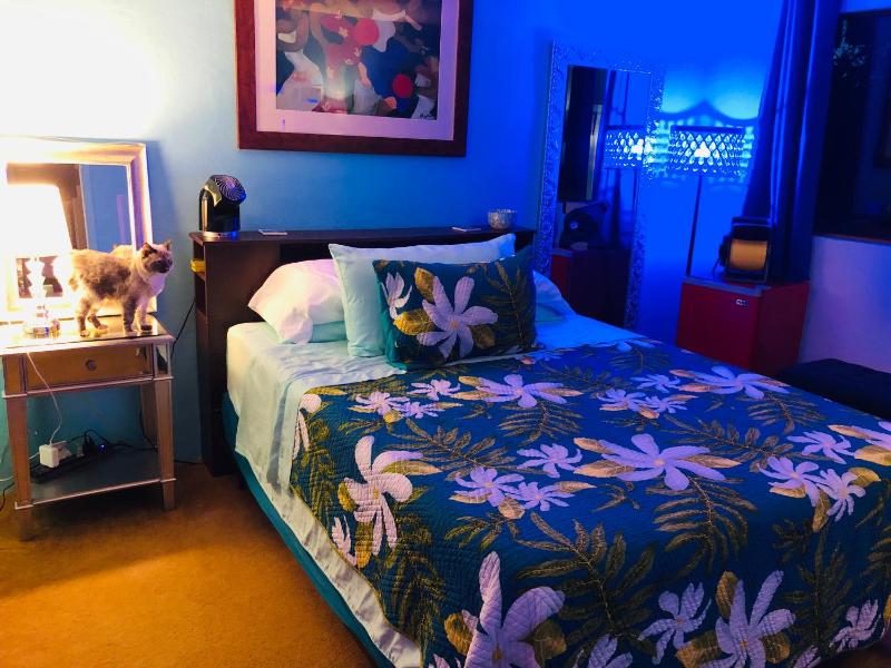 Kona Magic Honu Room - image 43